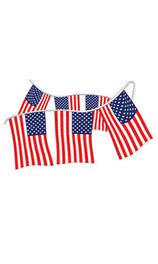 Plastic American Flag Pennant