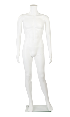 Plastic Headless Mannequin - Male