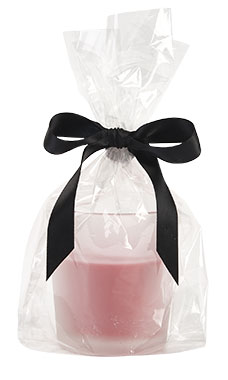 4 x 9 inch Cellophane Bags