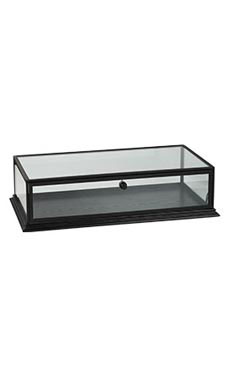 Countertop Wood Display Case