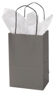 Small Storm Gray Paper Shopping Bag Small Storm Gray Paper Shopping Bag