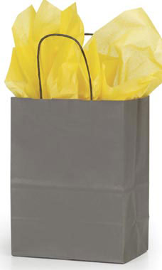 Medium Storm Gray Paper Shopping Bag Medium Storm Gray Paper Shopping Bag