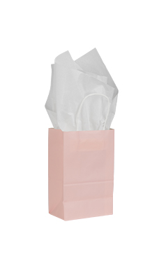 Small Pink Paper Shopping Bags - Case of 100 Small Pink Paper Shopping Bags - Case of 100