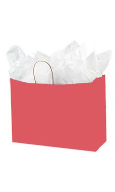 Large Red Paper Shopping Bags - Case of 100 Large Red Paper Shopping Bags - Case of 100