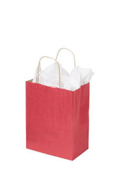 Medium Red Paper Shopping Bags - Case of 100