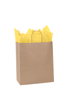 Medium Natural Kraft Paper Shopping Bags - Case of 250 Medium Natural Kraft Paper Shopping Bags - Case of 250