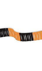 Gold/Black 60 foot Metallic Fringe Pennant
