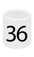 29-36