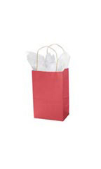 Small Red Paper Shopping Bags - Case of 100