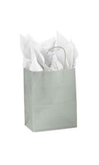 Medium Glossy Silver Paper Shopping Bags - Case of 100