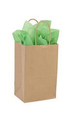 Small - Recycled Natural Kraft Paper Shopping Bags - Case of 250