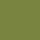 RainForest